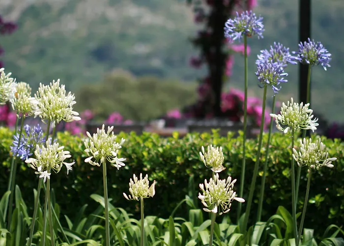 Agroturismo Son Siurana
